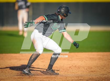 Thumbnail 3 in Queen Creek @ Basha photogallery.