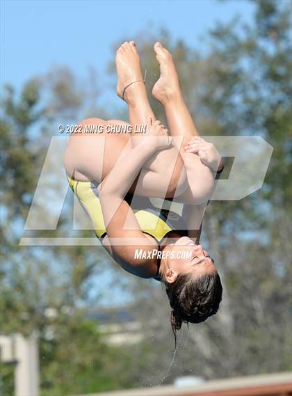 Thumbnail 2 in CIF State Diving Prelims photogallery.