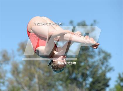 Thumbnail 1 in CIF State Diving Prelims photogallery.