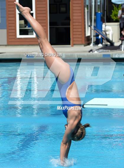 Thumbnail 1 in CIF State Diving Prelims photogallery.