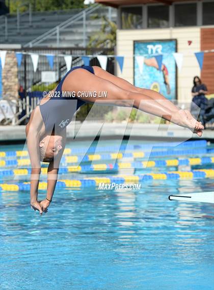 Thumbnail 1 in CIF State Diving Prelims photogallery.