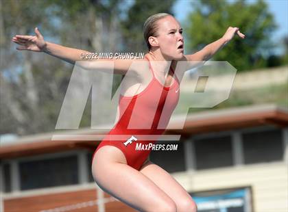 Thumbnail 2 in CIF State Diving Prelims photogallery.