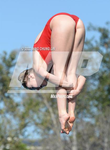 Thumbnail 2 in CIF State Diving Prelims photogallery.