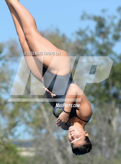 Thumbnail 2 in CIF State Diving Prelims photogallery.