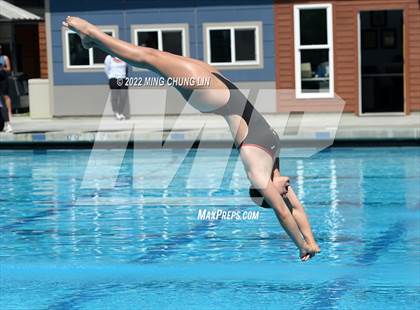 Thumbnail 3 in CIF State Diving Prelims photogallery.