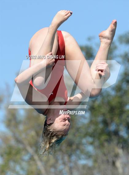 Thumbnail 2 in CIF State Diving Prelims photogallery.