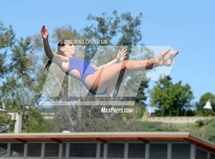 Thumbnail 1 in CIF State Diving Prelims photogallery.
