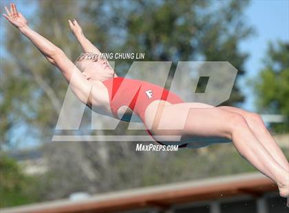 Thumbnail 3 in CIF State Diving Prelims photogallery.