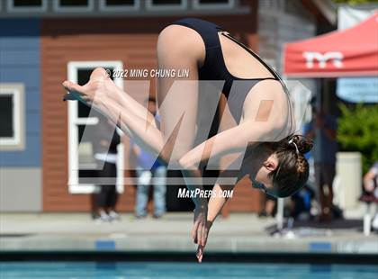Thumbnail 1 in CIF State Diving Prelims photogallery.