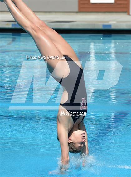 Thumbnail 1 in CIF State Diving Prelims photogallery.