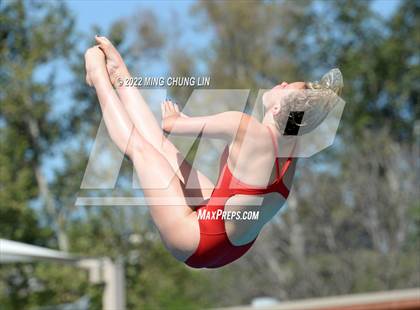 Thumbnail 1 in CIF State Diving Prelims photogallery.
