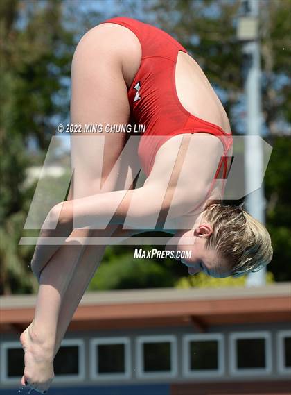 Thumbnail 3 in CIF State Diving Prelims photogallery.