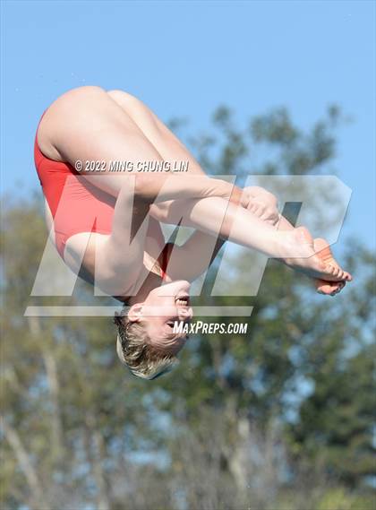 Thumbnail 3 in CIF State Diving Prelims photogallery.