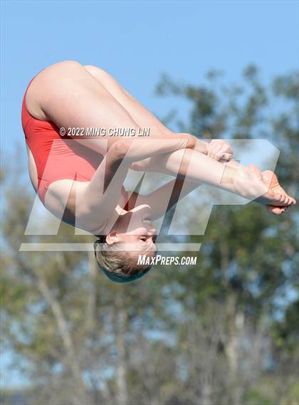 Thumbnail 1 in CIF State Diving Prelims photogallery.