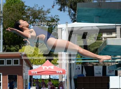 Thumbnail 1 in CIF State Diving Prelims photogallery.