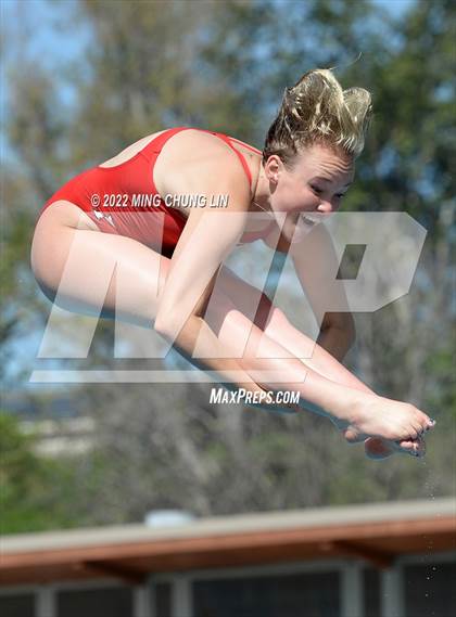 Thumbnail 1 in CIF State Diving Prelims photogallery.