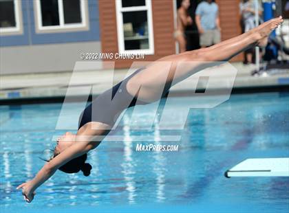 Thumbnail 1 in CIF State Diving Prelims photogallery.
