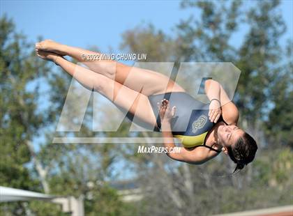 Thumbnail 1 in CIF State Diving Prelims photogallery.