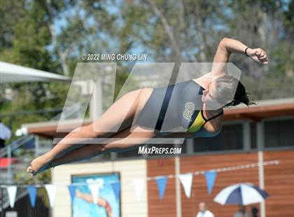 Thumbnail 1 in CIF State Diving Prelims photogallery.