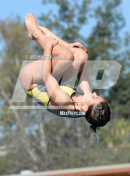 Thumbnail 1 in CIF State Diving Prelims photogallery.