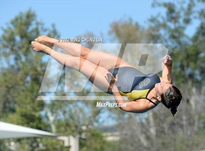 Thumbnail 3 in CIF State Diving Prelims photogallery.