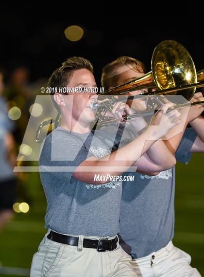 Thumbnail 3 in Arlington Heights @ Brewer photogallery.