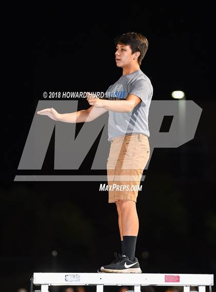 Thumbnail 2 in Arlington Heights @ Brewer photogallery.