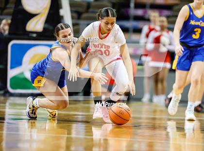 Thumbnail 2 in Newport Central Catholic vs Dixie (Ninth Region Tournament) photogallery.