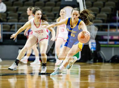 Thumbnail 1 in Newport Central Catholic vs Dixie (Ninth Region Tournament) photogallery.