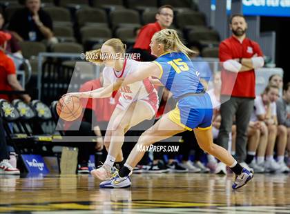 Thumbnail 3 in Newport Central Catholic vs Dixie (Ninth Region Tournament) photogallery.