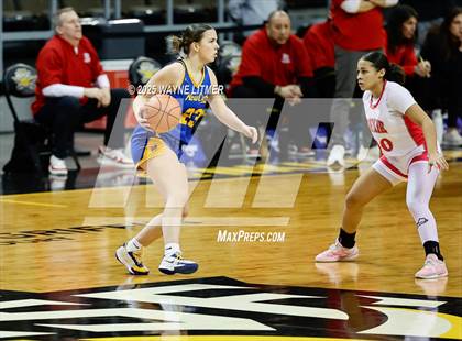 Thumbnail 3 in Newport Central Catholic vs Dixie (Ninth Region Tournament) photogallery.