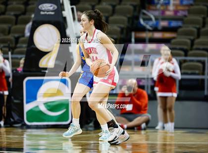 Thumbnail 3 in Newport Central Catholic vs Dixie (Ninth Region Tournament) photogallery.
