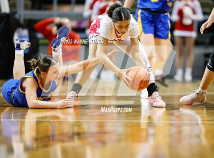 Thumbnail 1 in Newport Central Catholic vs Dixie (Ninth Region Tournament) photogallery.