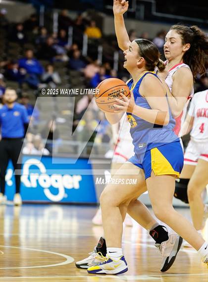 Thumbnail 1 in Newport Central Catholic vs Dixie (Ninth Region Tournament) photogallery.