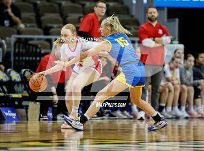 Thumbnail 1 in Newport Central Catholic vs Dixie (Ninth Region Tournament) photogallery.