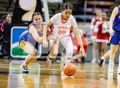 Thumbnail 3 in Newport Central Catholic vs Dixie (Ninth Region Tournament) photogallery.