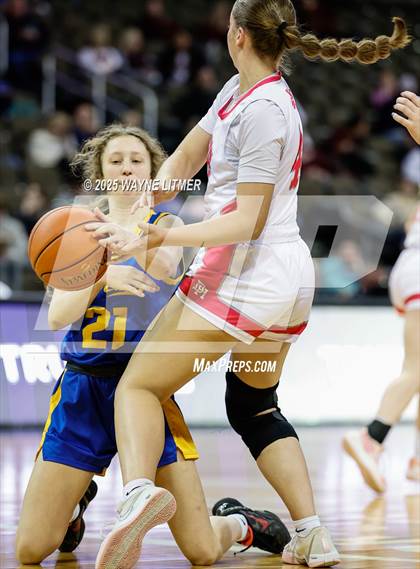 Thumbnail 2 in Newport Central Catholic vs Dixie (Ninth Region Tournament) photogallery.