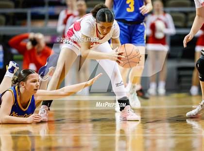 Thumbnail 3 in Newport Central Catholic vs Dixie (Ninth Region Tournament) photogallery.