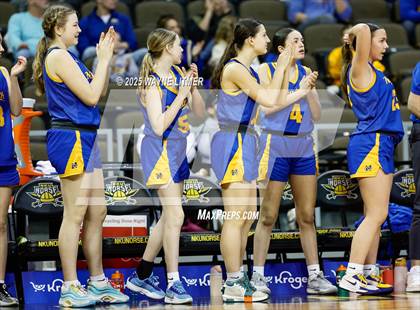 Thumbnail 3 in Newport Central Catholic vs Dixie (Ninth Region Tournament) photogallery.