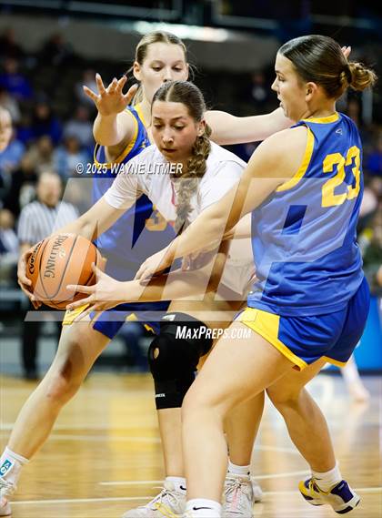 Thumbnail 1 in Newport Central Catholic vs Dixie (Ninth Region Tournament) photogallery.