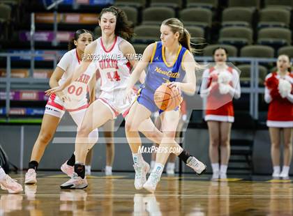 Thumbnail 2 in Newport Central Catholic vs Dixie (Ninth Region Tournament) photogallery.