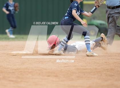 Thumbnail 2 in Lee vs Johnson photogallery.