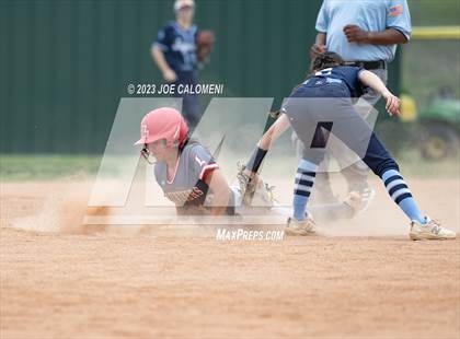 Thumbnail 3 in Lee vs Johnson photogallery.