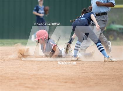Thumbnail 2 in Lee vs Johnson photogallery.