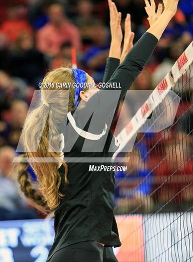 null - Photo 21
