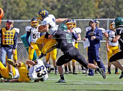 Thumbnail 3 in Rifle @ Conifer photogallery.