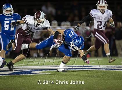 Thumbnail 2 in Columbia vs. Red Bud photogallery.