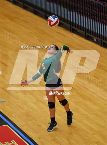 Thumbnail 3 in Rowe [Nikki] vs Boerne-Champion (NEISD Volleyball Tournament) photogallery.