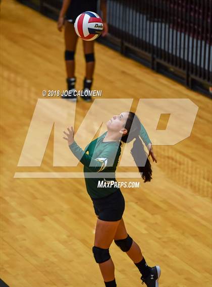 Thumbnail 3 in Rowe [Nikki] vs Boerne-Champion (NEISD Volleyball Tournament) photogallery.