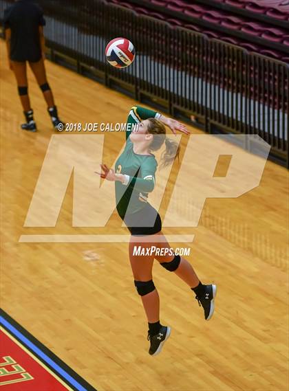 Thumbnail 2 in Rowe [Nikki] vs Boerne-Champion (NEISD Volleyball Tournament) photogallery.